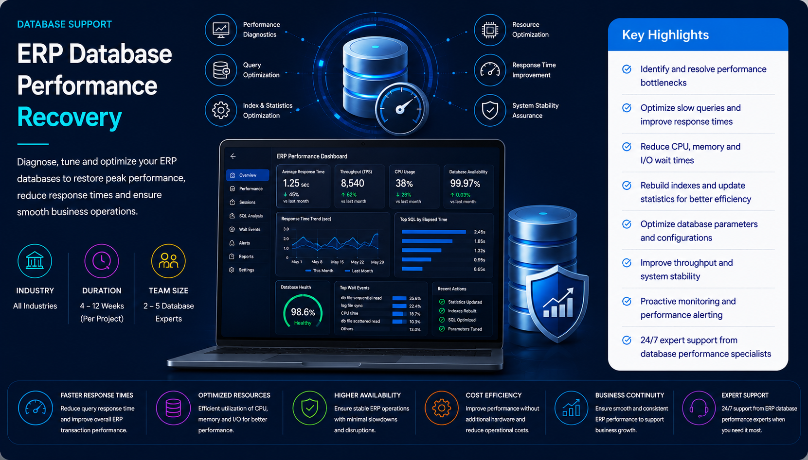 ERP Database Performance Recovery